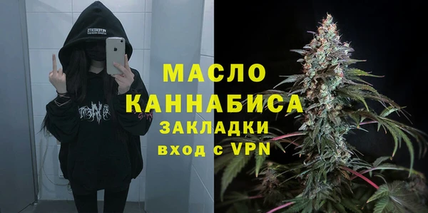 хмурый Рославль